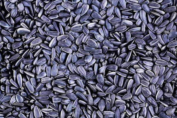 China's Sunflower Seed Export Plummets to $39M in June 2023